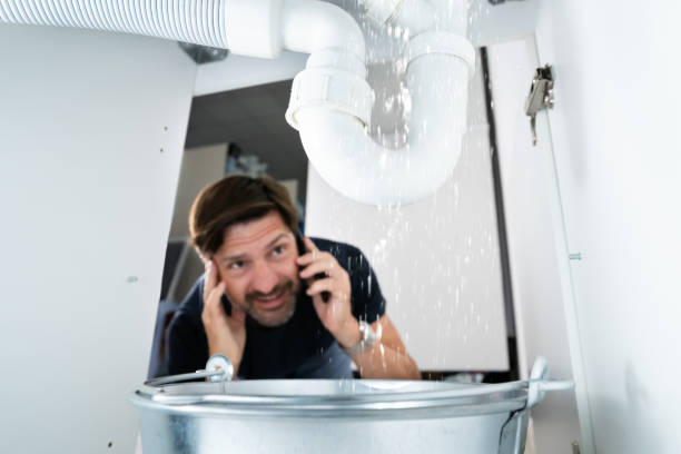 Best 24-Hour Plumber Near Me  in Fairbury, IL