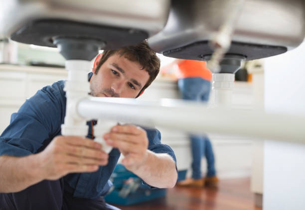 Best Plumbing Inspection Services  in Fairbury, IL