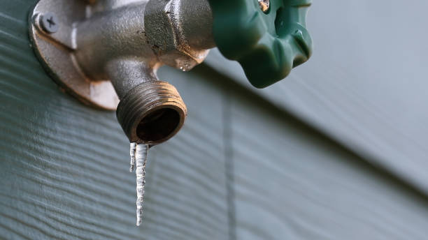 Best Clogged Drain Plumber  in Fairbury, IL